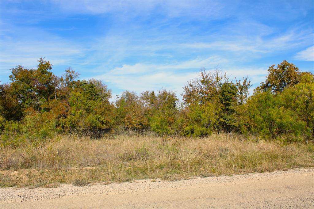 Brownwood, TX 76801,TBD Feather Bay Boulevard