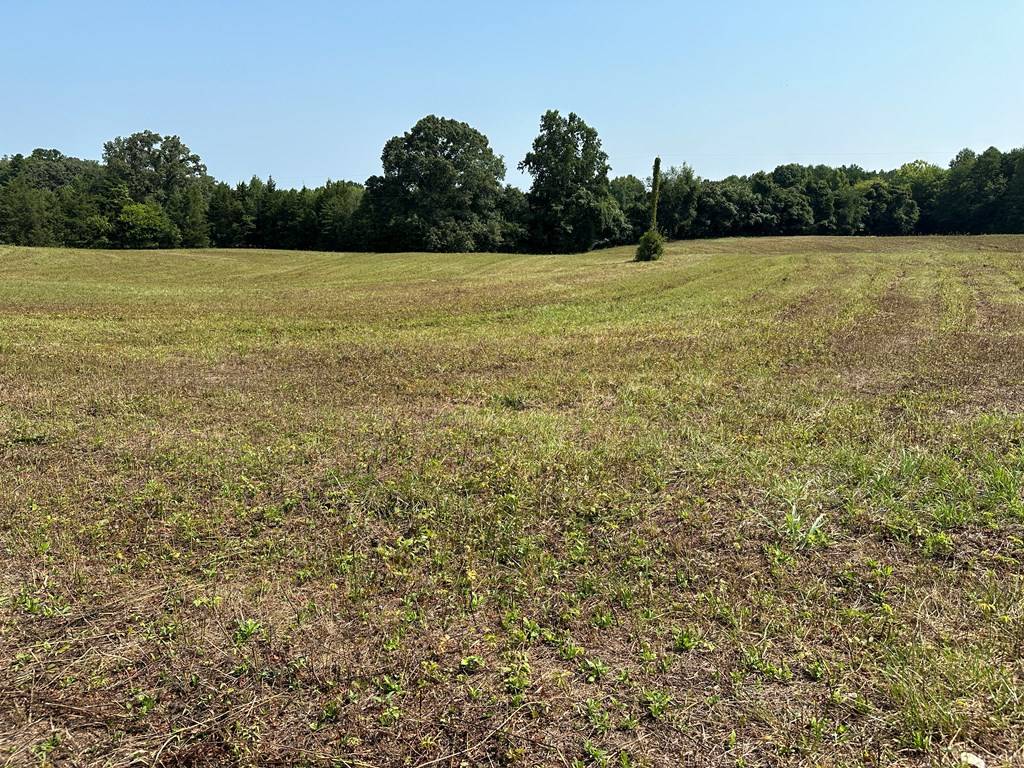 Alton, VA 24520,Lot 1 Pointer Road