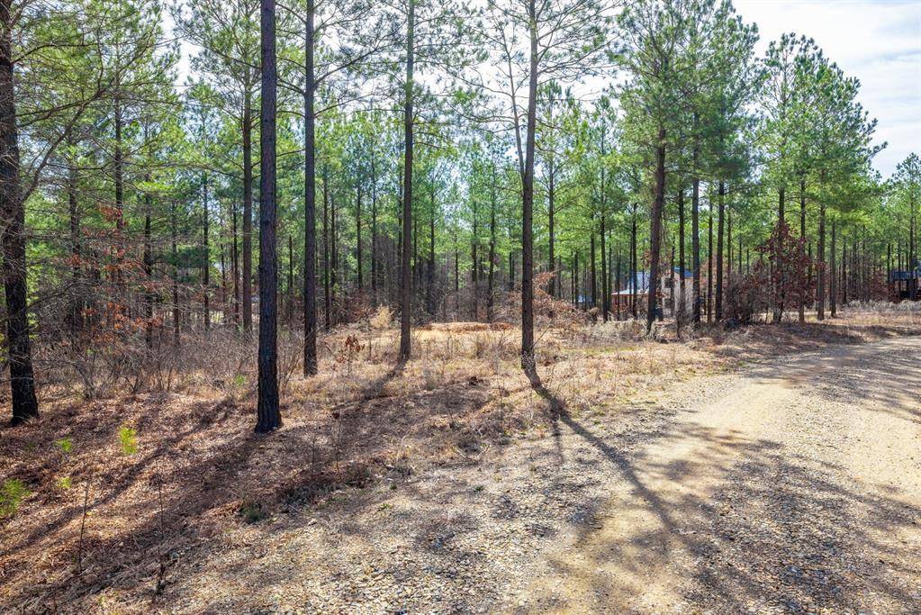 Broken Bow, OK 74728,224 N Cedar Hills Trail