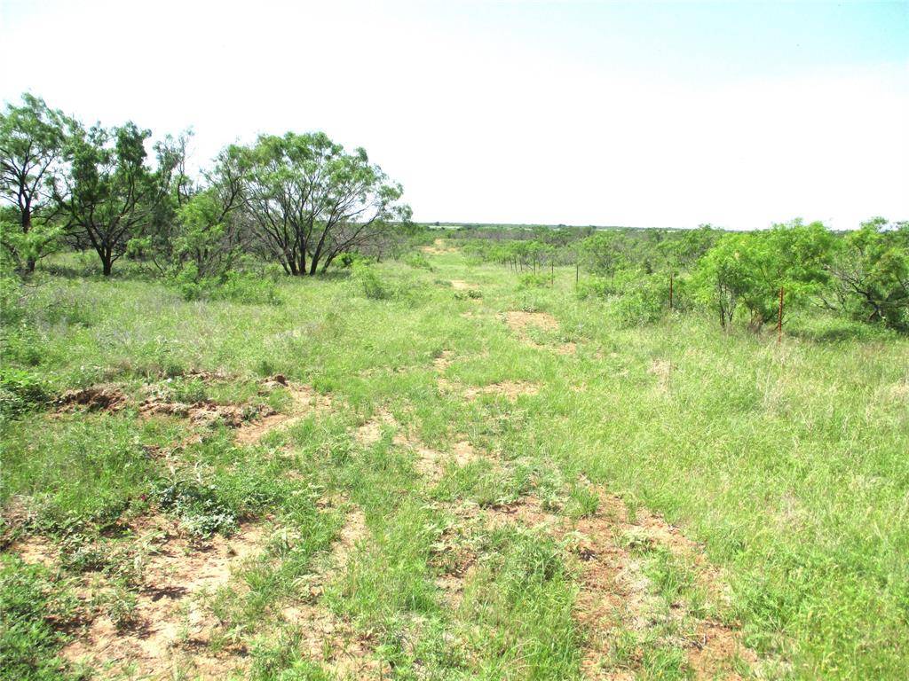 Ringgold, TX 76241,25 AC Boren