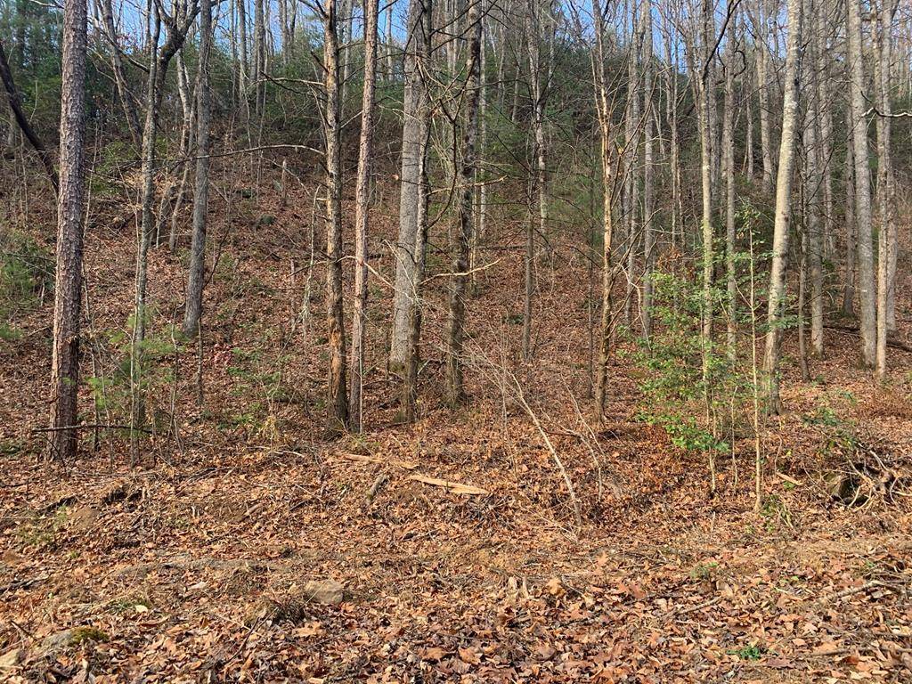 Murphy, NC 28906,Lot  #76 Ten Pointe Trail