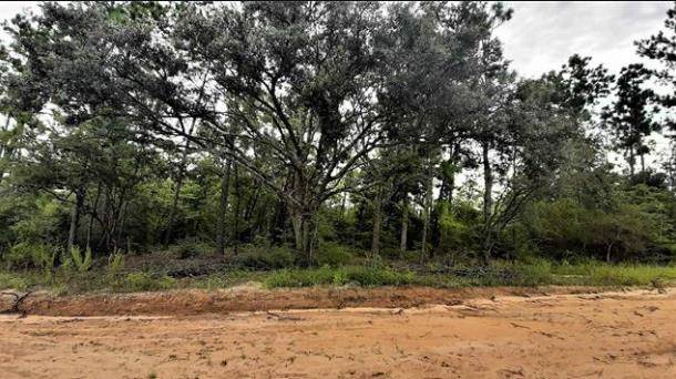 Alford, FL 32420,Lot 40 Alene Dr  # 5