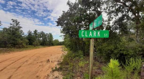 Alford, FL 32420,Lot 40 Alene Dr  # 5