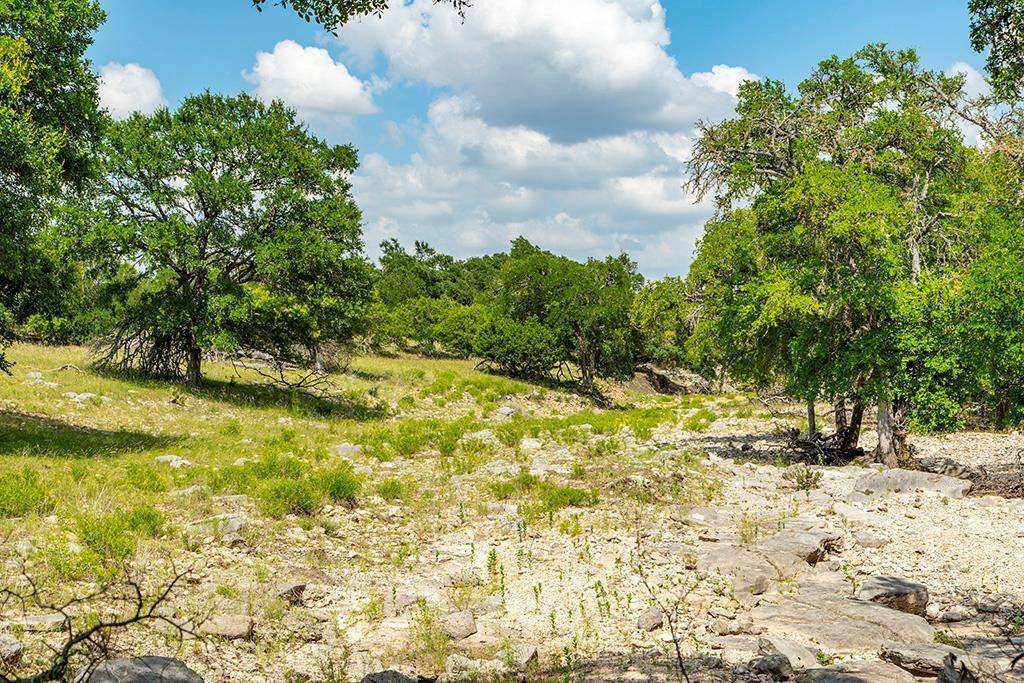 Harper, TX 78631,21975 -- FM 2093