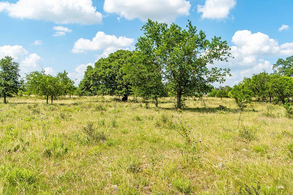 Harper, TX 78631,Lot 7 -- FM 2093