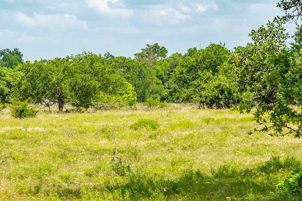 Harper, TX 78631,Lot 2 -- FM 2093