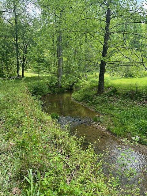 Ellijay, GA 30536,Lot 9 Clear Creek Preserve Way