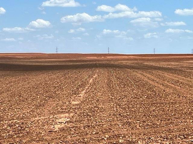 Rotan, TX 79546,TBD CR 326