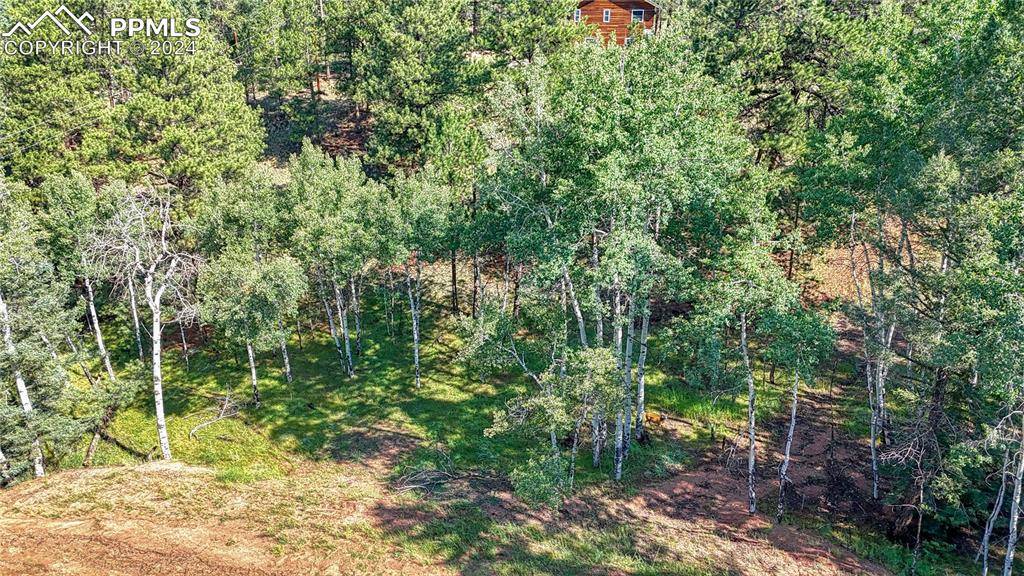 Florissant, CO 80816,91 Antelope CIR