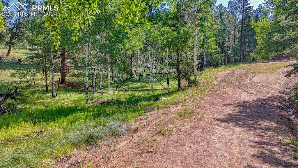 Florissant, CO 80816,91 Antelope CIR