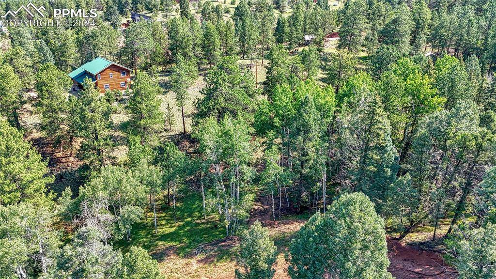 Florissant, CO 80816,91 Antelope CIR