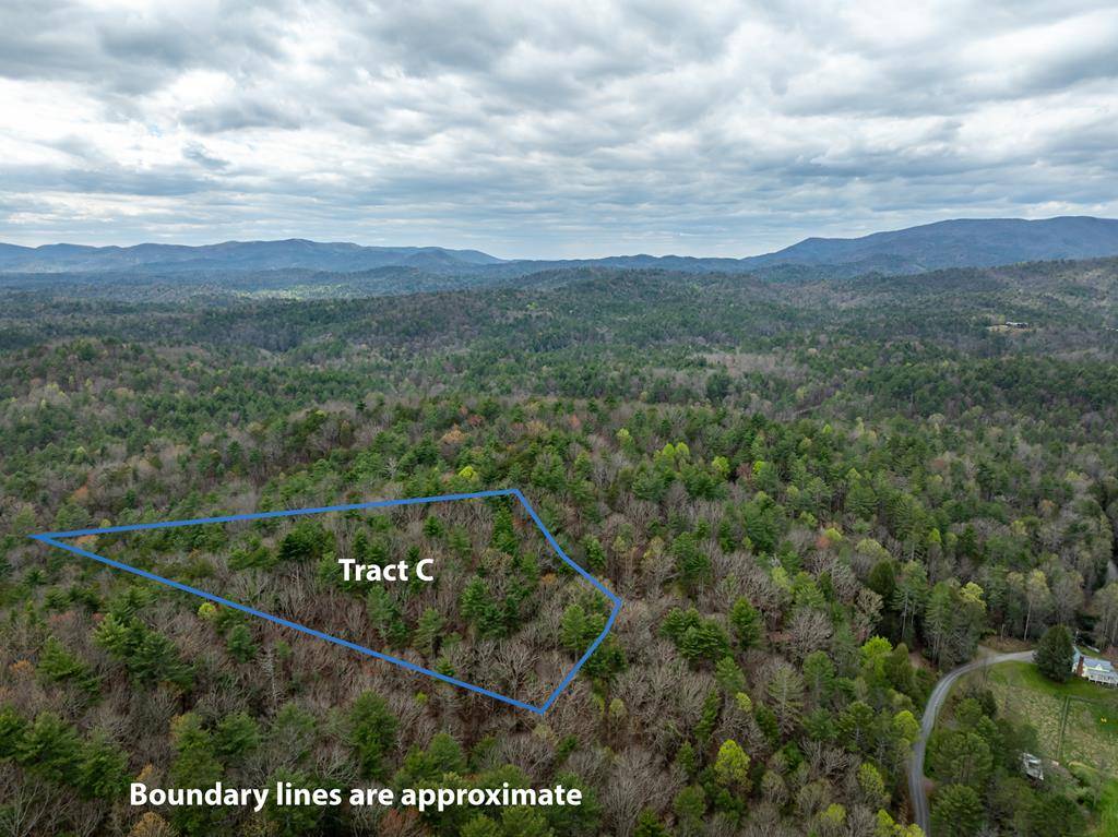 Ellijay, GA 30540,Tract C Harpers Creek Road