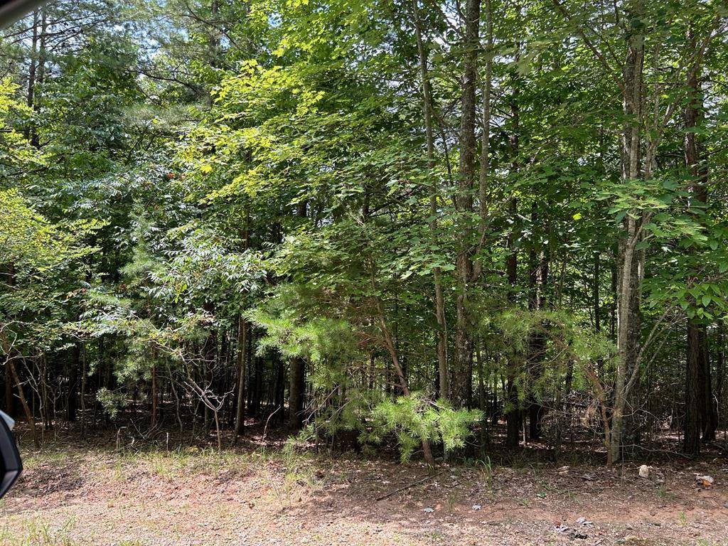 Blairsville, GA 30512,lot 15 Hidden Branch Road