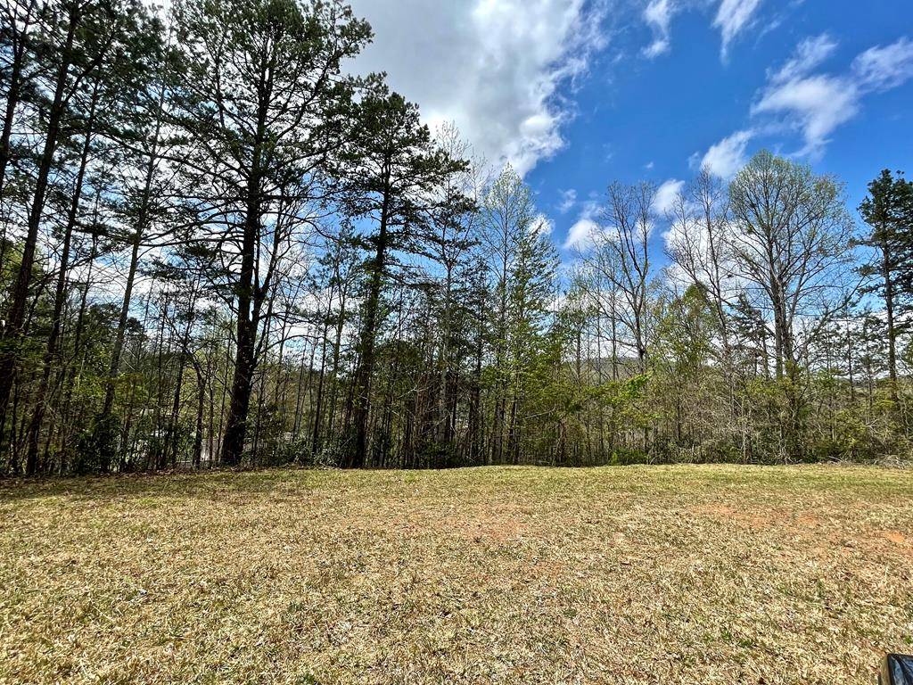 Murphy, NC 28906,TBD Cattail Ln