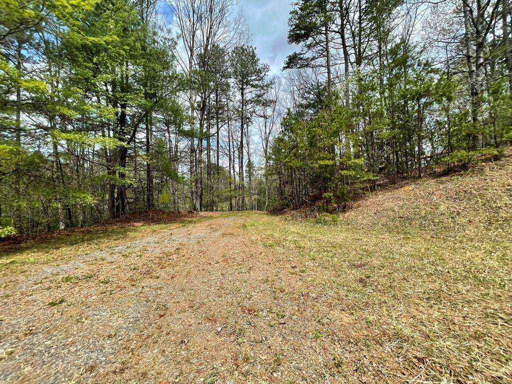 Murphy, NC 28906,TBD Cattail Ln