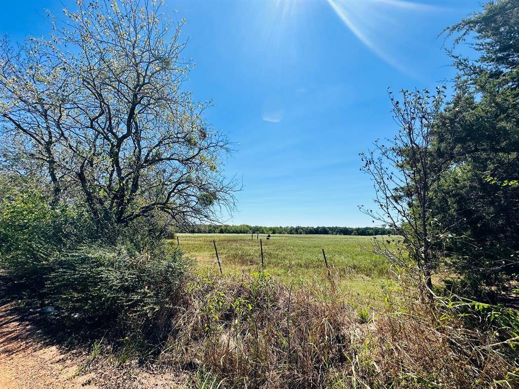 Bonham, TX 75418,TBD County Road 1430