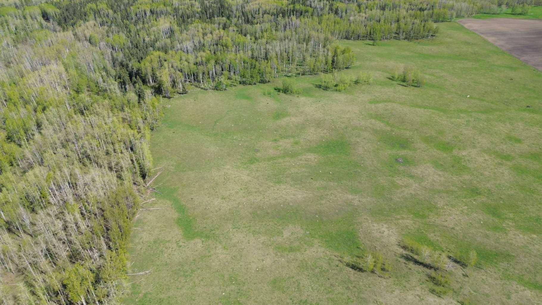 Rural Clearwater County, AB T0M 0M0,on highway 54 & range road 6-5