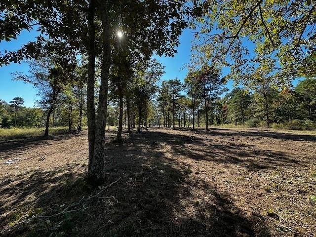 Larue, TX 75770,Legacy Shores Lot 21 3142 Shadow Pine Drive