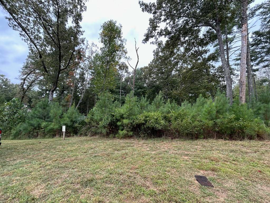 Blairsville, GA 30512,LOT 87 High Point Trail