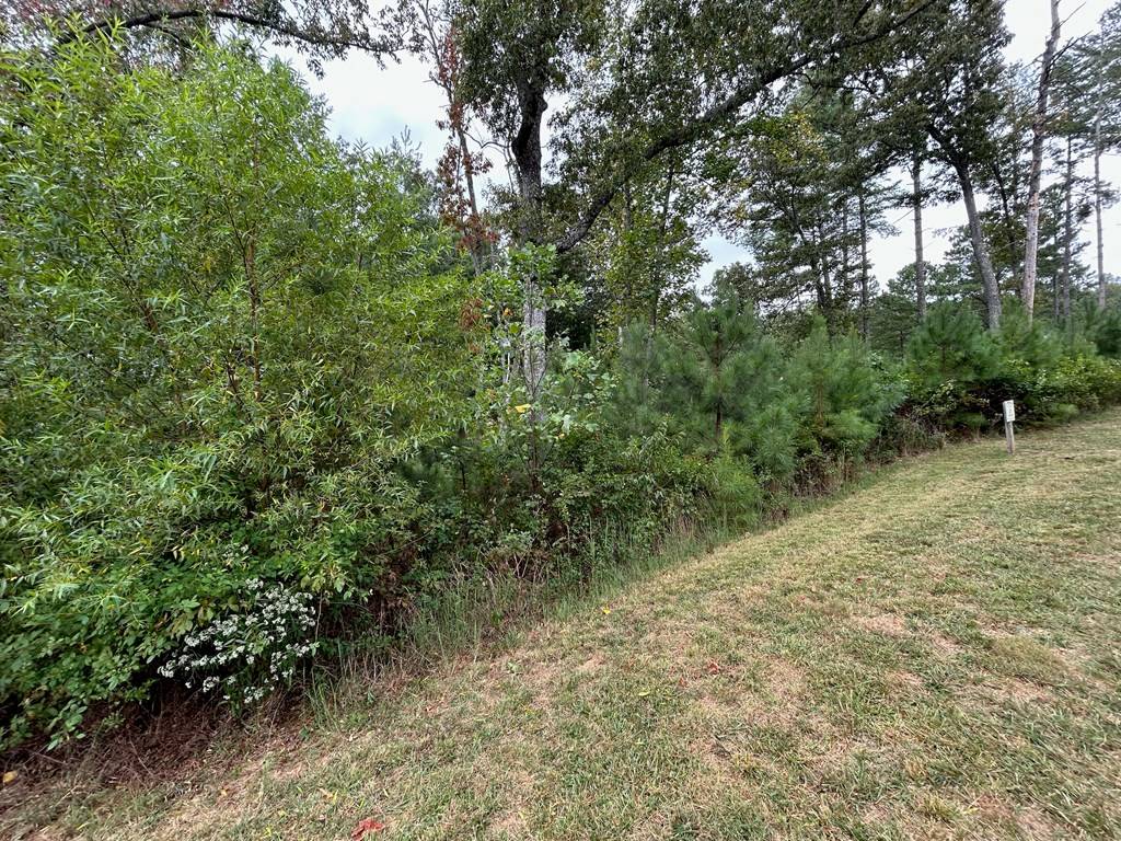 Blairsville, GA 30512,LOT 87 High Point Trail