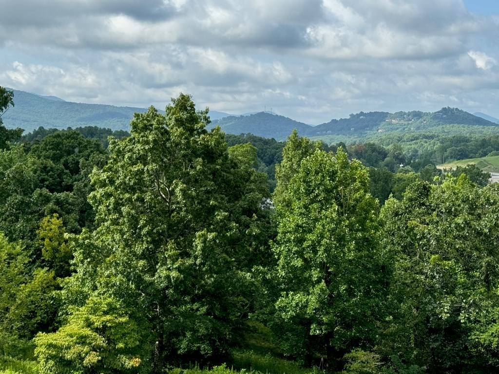 Hayesville, NC 28904,Lot 10 Chatuge Shores Overlook