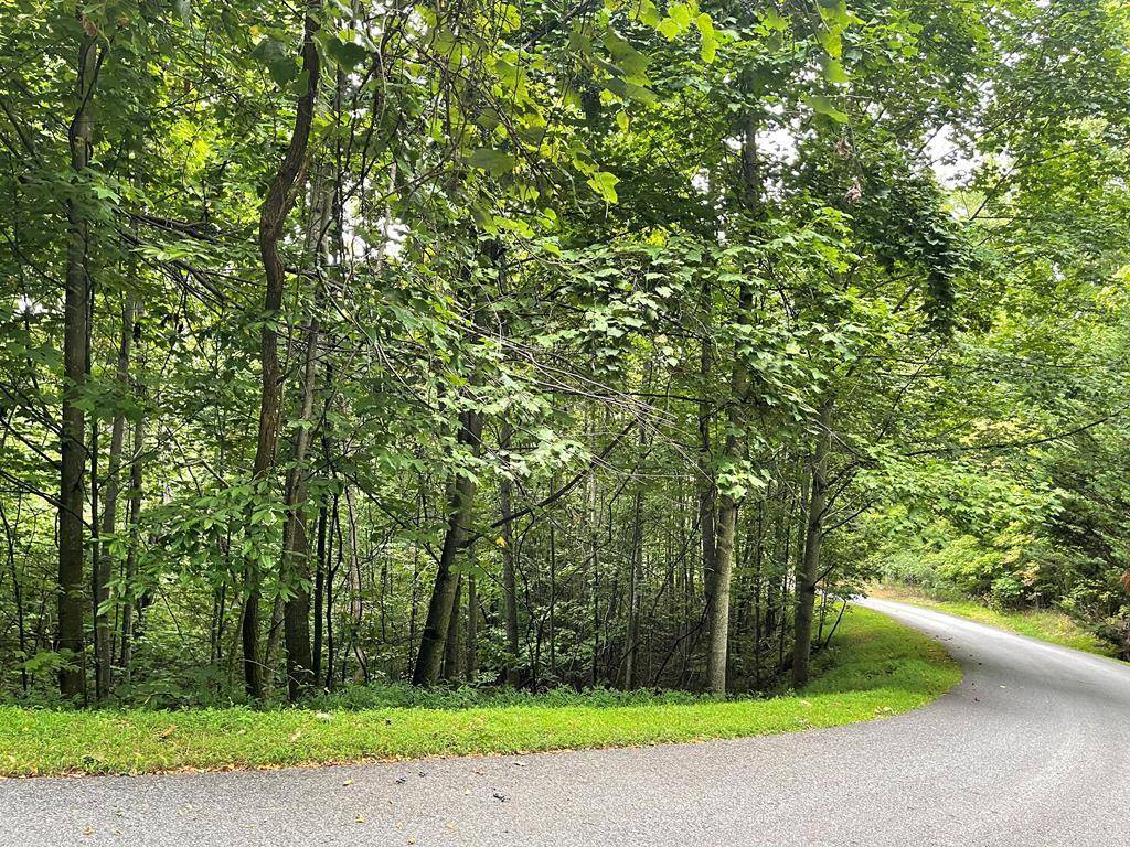 Hayesville, NC 28904,Lot 32J Mountain Harbour