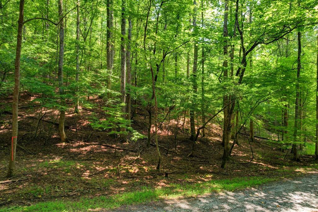 Ellijay, GA 30540,Lot 1972 Nancy Court