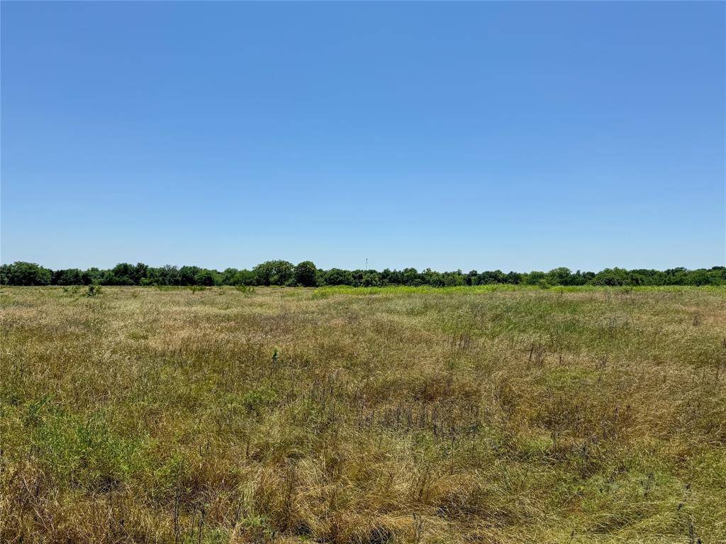 Celeste, TX 75423,Lot 1 FM-903