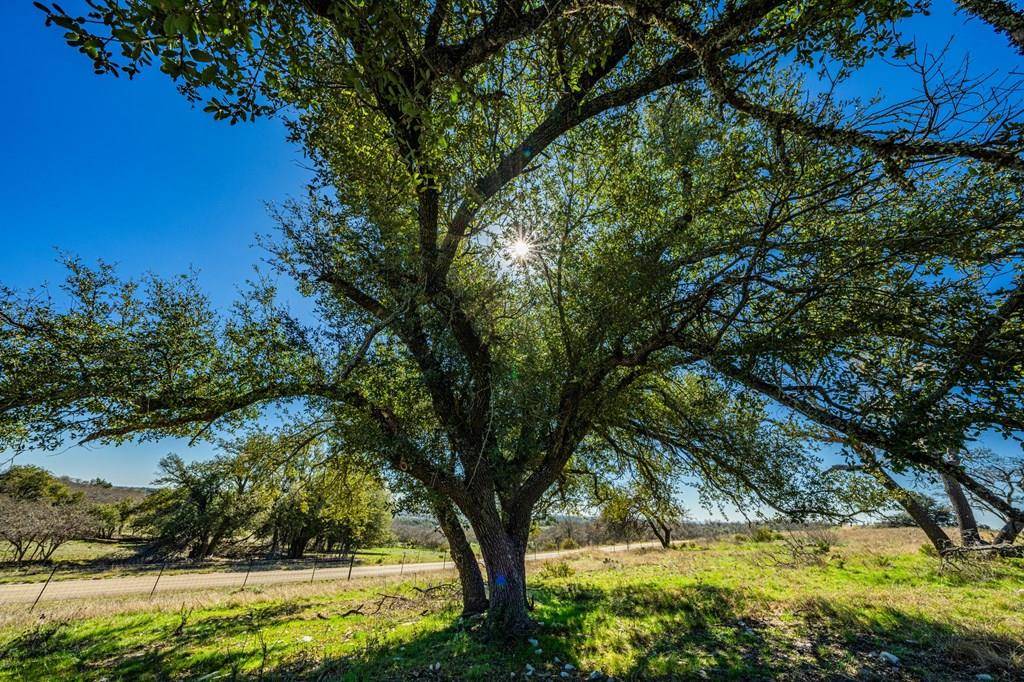 Fredericksburg, TX 78624,Lot 4 -- Badger Ridge Rd