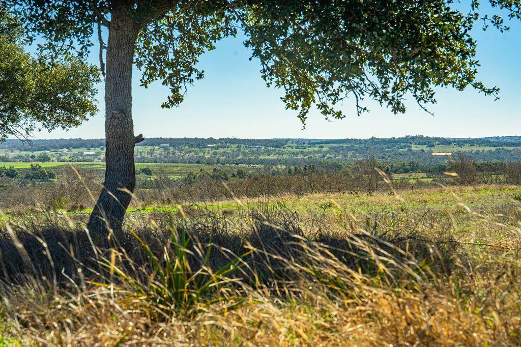 Fredericksburg, TX 78624,Lot 4 -- Badger Ridge Rd