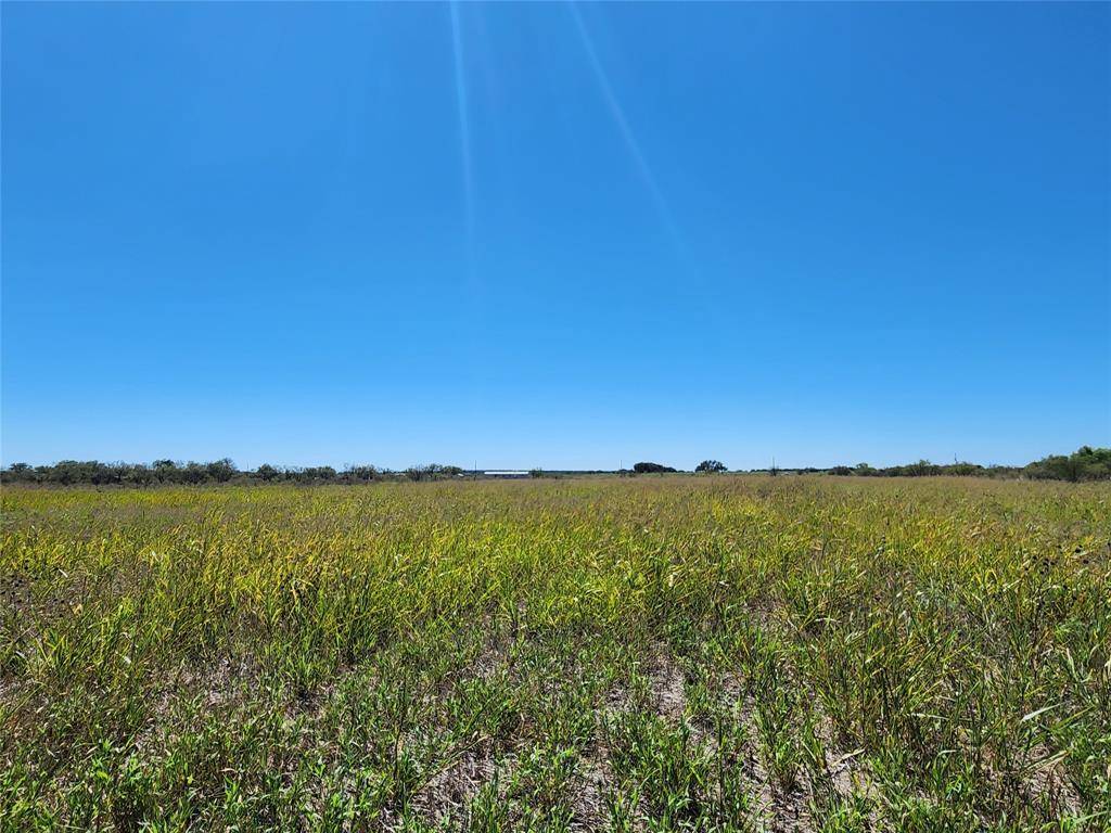 Bangs, TX 76823,TBD Fm-1176