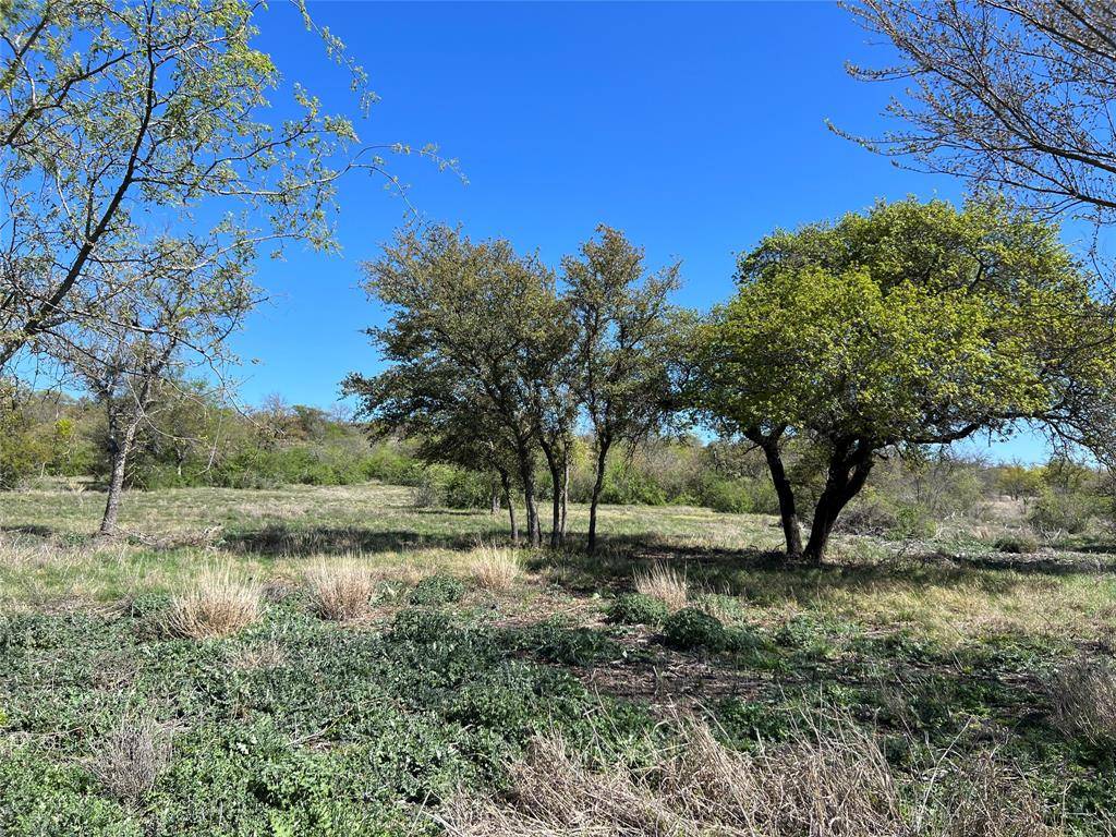 Hamilton, TX 76531,Lot 24 PR 6332