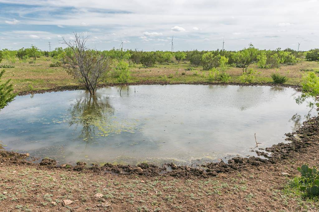 Robert Lee, TX 76945,1940 Other