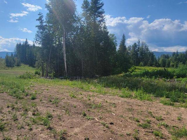 LOT 1 DL 2620 YELLOWHEAD HIGHWAY, Clearwater, BC V0E 1N1