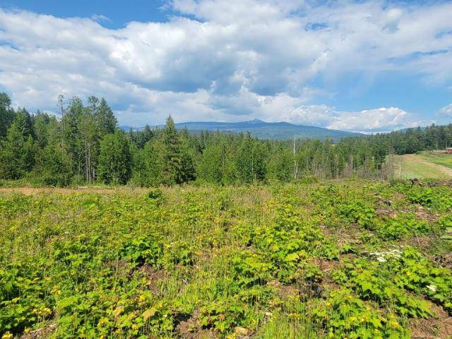 LOT 1 DL 2620 YELLOWHEAD HIGHWAY, Clearwater, BC V0E 1N1