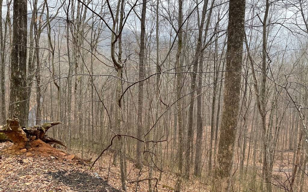 Hayesville, NC 28904,Lot 18 Shooting Creek Trails