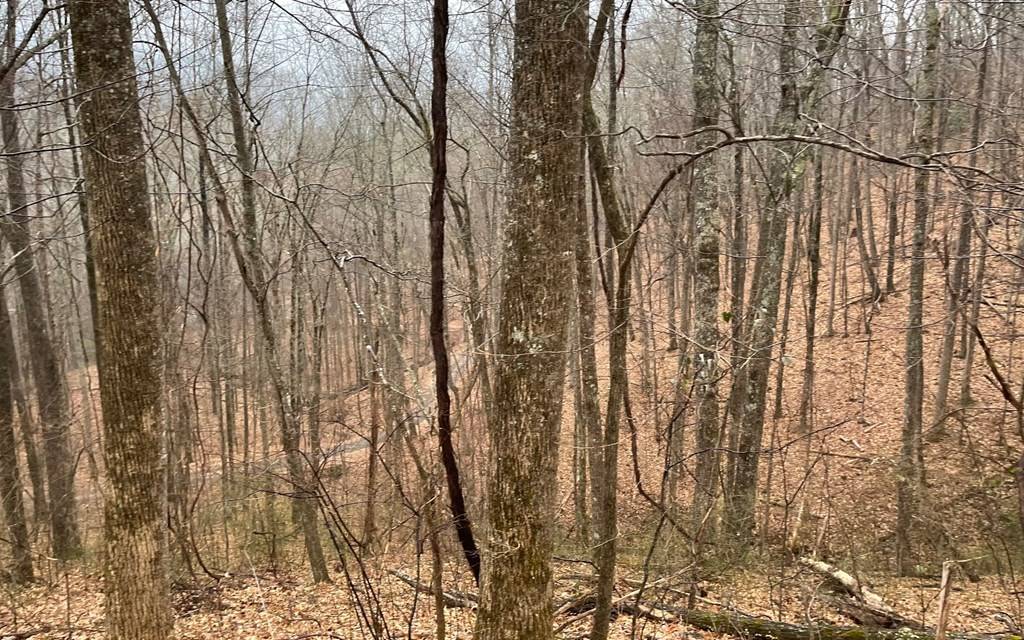 Hayesville, NC 28904,Lot 18 Shooting Creek Trails