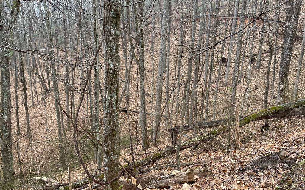 Hayesville, NC 28904,Lot 18 Shooting Creek Trails