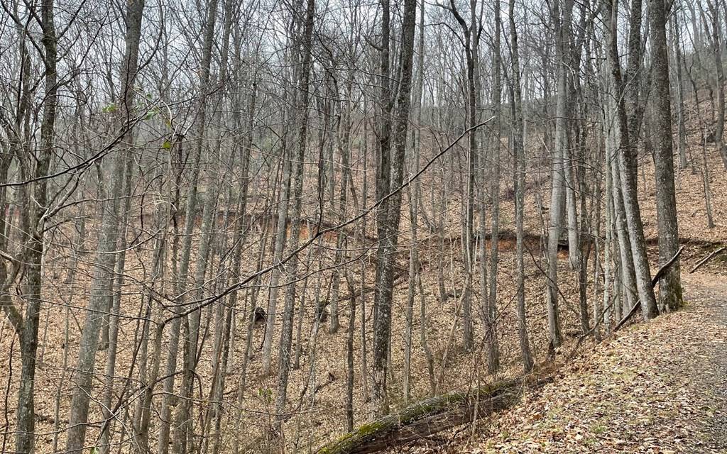 Hayesville, NC 28904,Lot 18 Shooting Creek Trails