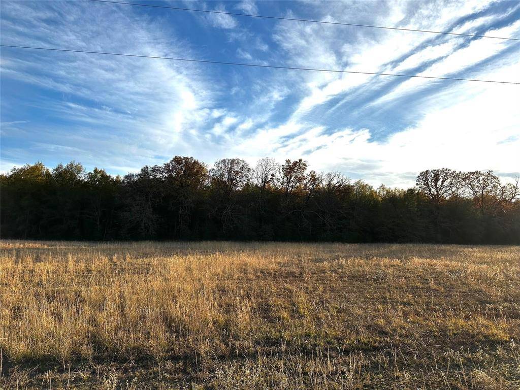 Blossom, TX 75416,Lot 6 PR 45855