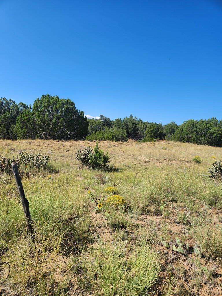 Walsenburg, CO 81089,tbd Lomita Verde Place