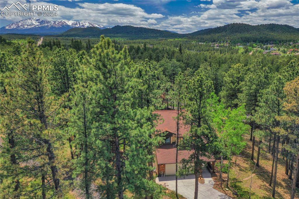 Woodland Park, CO 80863,455 Pembrook LN