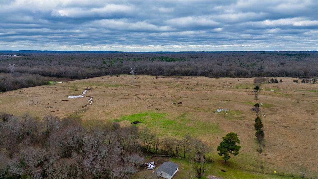 Ben Wheeler, TX 75754,TBD Tract 6 CR 4503