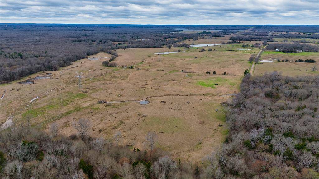 Ben Wheeler, TX 75754,TBD Tract 6 CR 4503