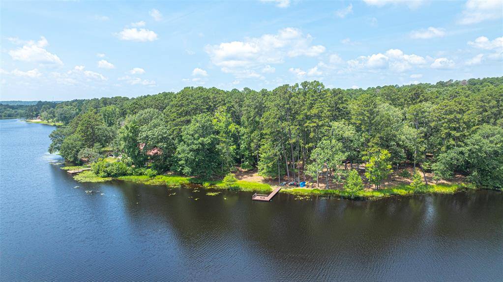 Holly Lake Ranch, TX 75765,340 Dogwood Trail