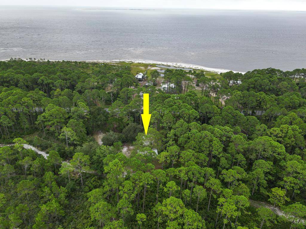 Carrabelle, FL 32322,2455 Hwy 98 W