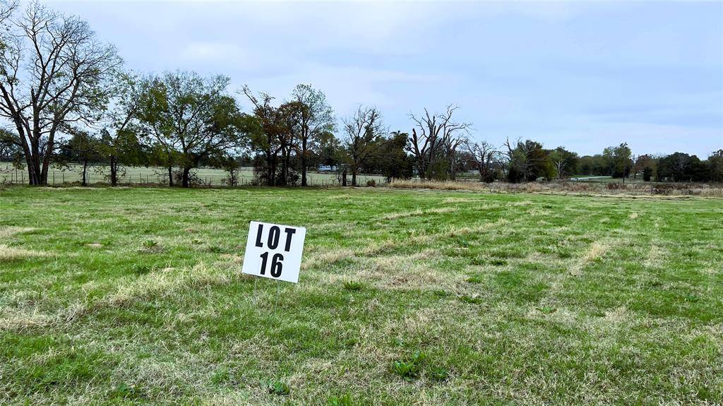 Yantis, TX 75497,Lot 16 FM 514 Road