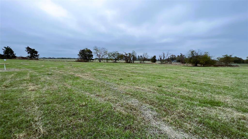 Yantis, TX 75497,Lot 16 FM 514 Road