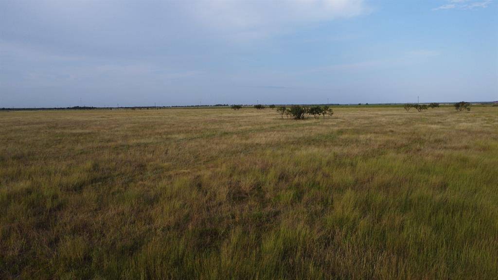 Ovalo, TX 79541,TBD County Road 184 #1