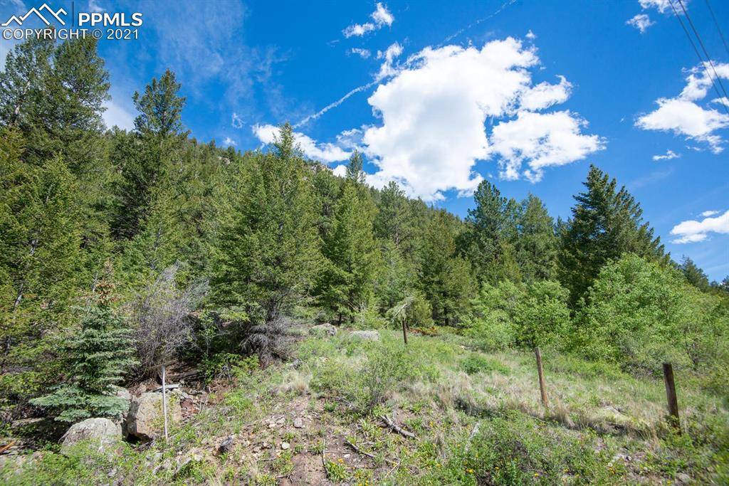 Empire, CO 80438,0 Bard Creek RD